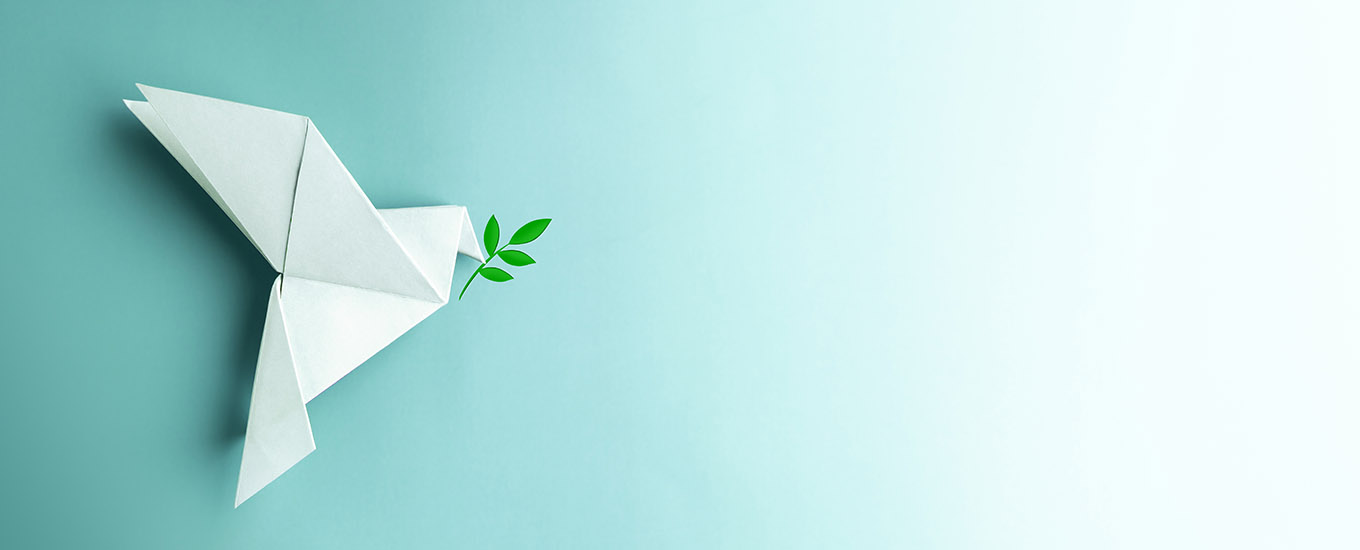 Journal of Public Policy & Marketing Special Issue: Marketing to End War, Create Peace, and Enhance Sustainable Well-Being