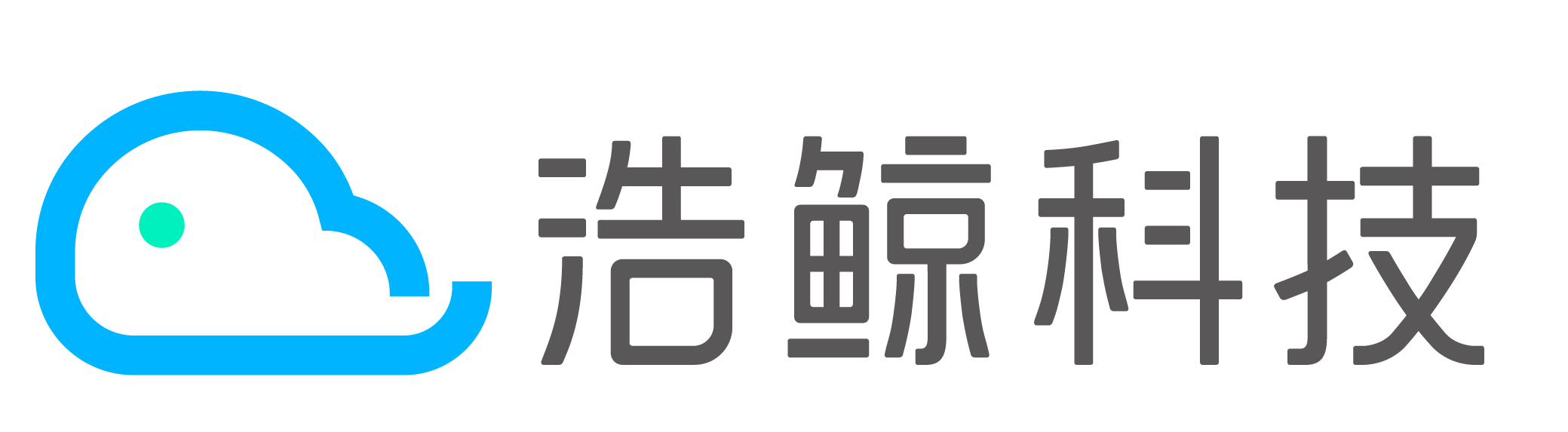 浩鲸科技-全球领先的数字化转型专家