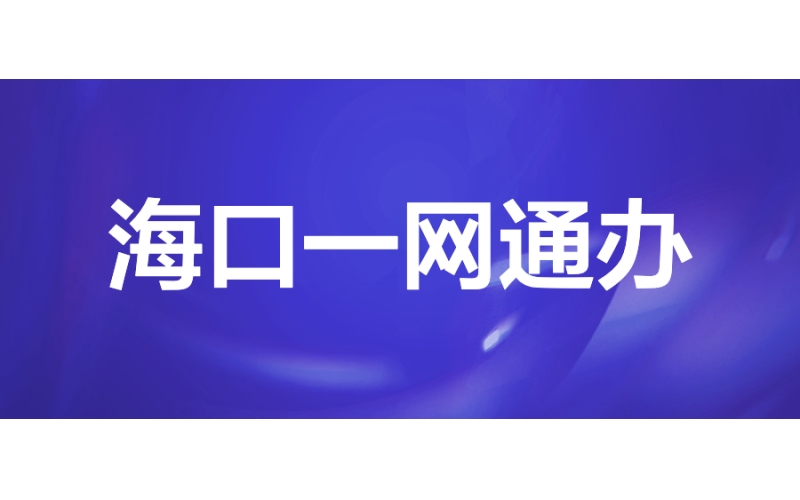 海口一网通办：打造政务服务“零跑动”