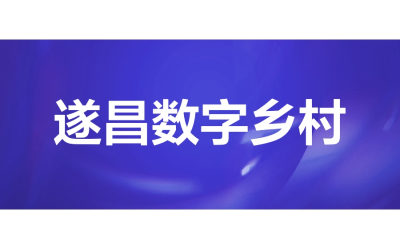 数字乡村：遂昌县数字乡村系统，助力乡村振兴